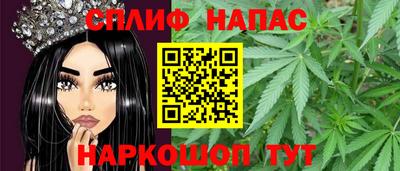 PSILOCYBIN Новодвинск