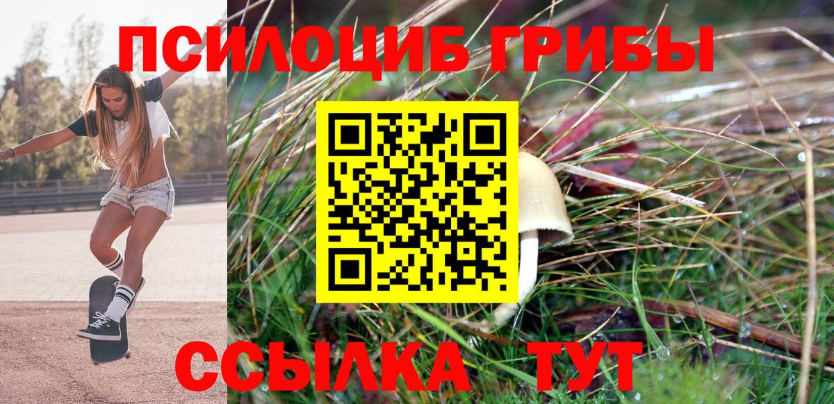 Пушкино  Псилоцибиновые грибы Cubensis  Вход с VPN 